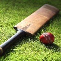 #CricketGames 🎮🏏(FMA)(@CricketGamesFMA) 's Twitter Profileg