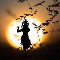 आर.पी. राणा 🇮🇳🚩 (@gargdod) 's Twitter Profile