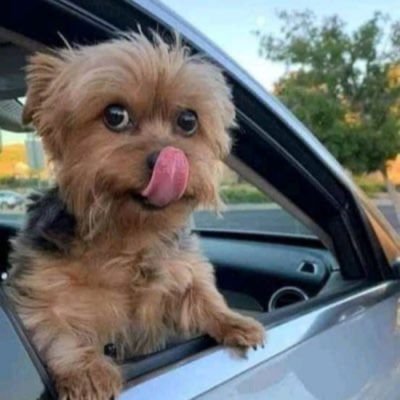 chris_danf18936's profile picture. Defi | Airdrop Hunter | web3

6NC3NQXV