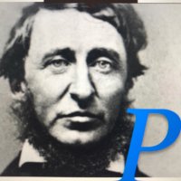ProbityCo/MakeWarHistory π΅πΈπΎπͺπ±π§ (@probityco) 's Twitter Profile