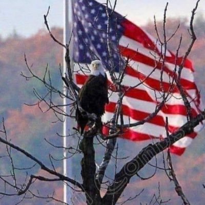 WarfWarfc's profile picture. 