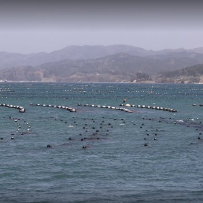 ken8yu's profile picture. 