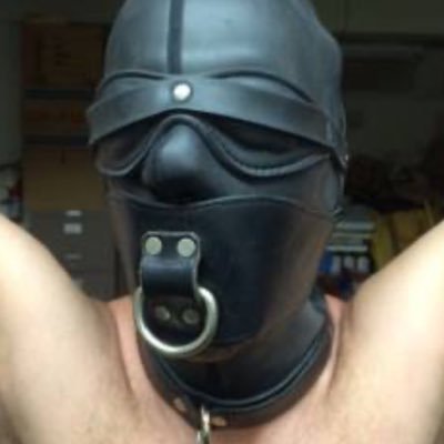 TPEgimp's profile picture. 