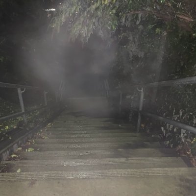 PenguinLust82's profile picture. Post-Objectivist