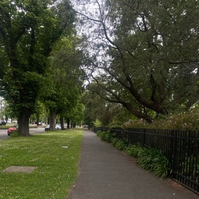 movingzali's profile picture. 