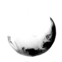 N (@rigelcanis) 's Twitter Profile Photo N (@rigelcanis) 's Twitter Profile Photo