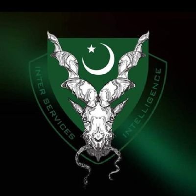 booaliraza313's profile picture. Pakistan zinda bad 
pak army zinda bad