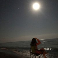 Asmaa Hassan (@asmaahassan204) 's Twitter Profile