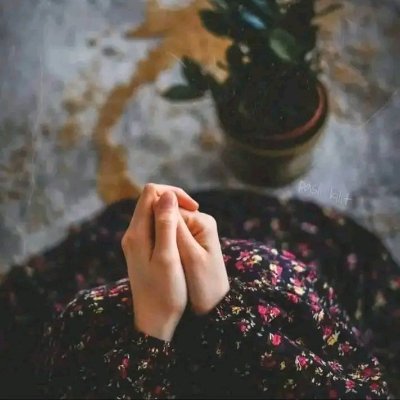 ZahraBash3's profile picture. 