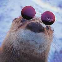 ๐ ๐๐๐๐๐ ๐๐๐๐๐๐ ๐ฆฆ (@riccoharver) 's Twitter Profile Photo ๐ ๐๐๐๐๐ ๐๐๐๐๐๐ ๐ฆฆ (@riccoharver) 's Twitter Profile Photo