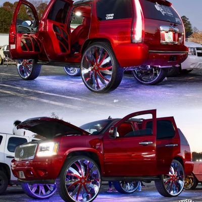 Birdman49641558's profile picture. 