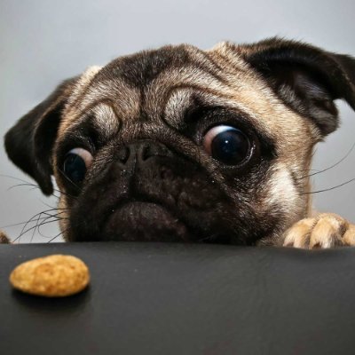 Give me a cookie