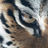 crypto_scienti's profile image