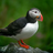 KathrinGrosse's profile image