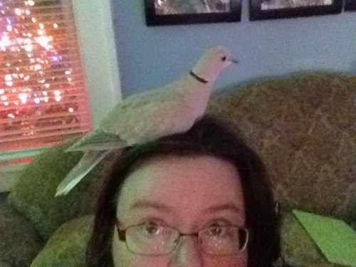 Herkyherc's profile picture. #BruinsFam I'm a huge Bruins fan and cheer for the Red Sox! Proud Canadian-American.