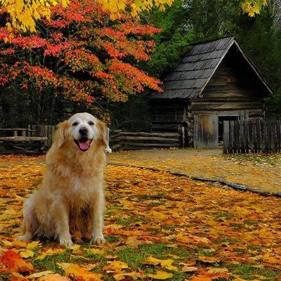 thecryptobro22's profile picture. 