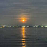 David (@mychoicecz) 's Twitter Profile Photo