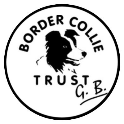 Rescuing & rehoming Border Collies throughout the UK. Gold Peoples Choice Award 2022 and Silver Peoples Choice Award 2020 - The Charity Film Awards