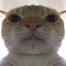 MNR (@mccabe_thiel) Twitter profile photo MNR (@mccabe_thiel) Twitter profile photo