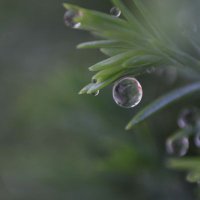 Villupuram weather updates💭🌦 (@vpmweathers) 's Twitter Profile Photo