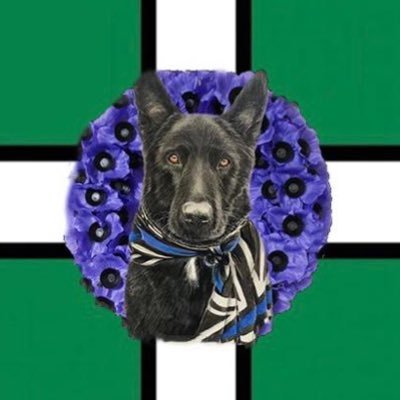 DevonPoliceDogs Profile Picture