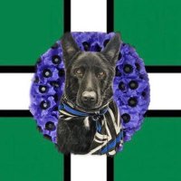 Devon Police Dogs (@devonpolicedogs) 's Twitter Profile