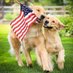 Charles A Günther (@charles59179097) Twitter profile photo Charles A Günther (@charles59179097) Twitter profile photo
