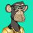 nima .t.| 𝔽rAI's Twitter (X) avatar