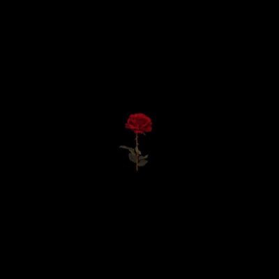 🦋SorryNotSorryForAvailableIsClosed. BackOff🦋SINGLE MF 01/27/23 💔•♓Pisces♓ •28 •🙉Deaf🙉 (John 3:16) ✝️✨