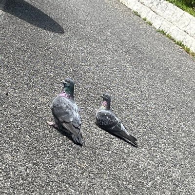 くさんのプロフィール画像