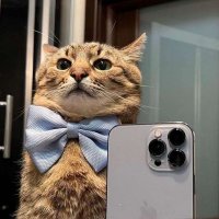 Admir Greg (@admirgreg) 's Twitter Profile