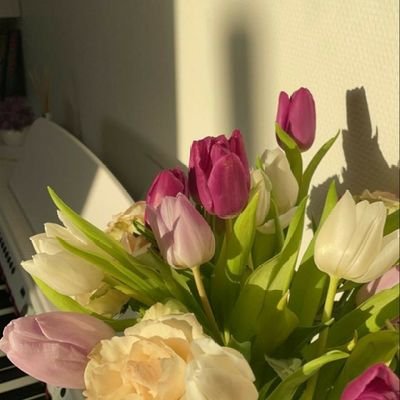 nan_vvv's profile picture. 