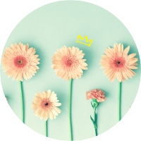 𝚖𝚒𝚗𝚝𝚒𝚊 ¨̮⑅*໒꒱↗ (@mintiaru_zzz) Twitter profile photo