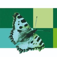 Museu de Ciències Naturals de Granollers (@mcngranollers) 's Twitter Profile