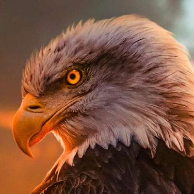 IrvinTaryt's profile picture. 