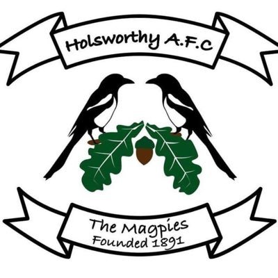 Holsworthy AFC