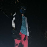 Blue.Phoenix.Pup (@friedrichfurry) 's Twitter Profile