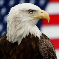 TVARZAN400 (@tvarzan400) 's Twitter Profile Photo