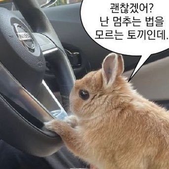 ㅌㅋㄹㅈ