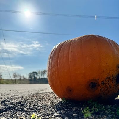 lovehawks33's profile picture. ソフトバンクホークス⚾️