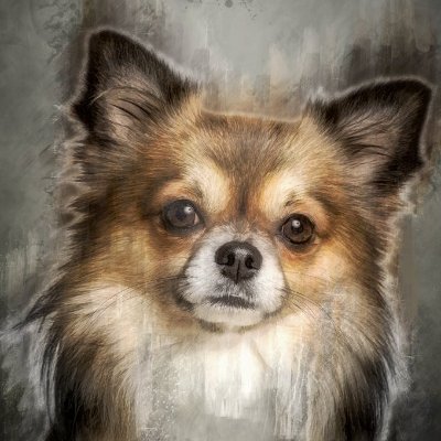 42310_'s profile picture. piloto de fuga, drama queen e bolsoon�a/corpo fechado/se