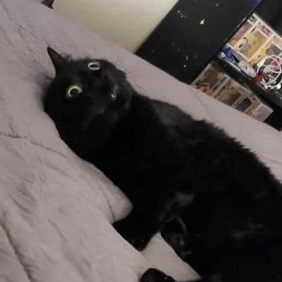 LORD_TOEKEK's profile picture. https://t.co/3N3AODMHxt