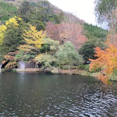 20⬆️ 🪚アキデン　🏀流花