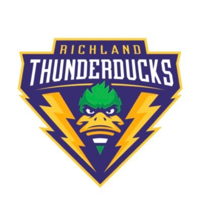 Official Twitter account of the Dallas College - Richland Women's Basketball Team. Proud members of @NJCAA and @DallasCollAth. #ThunderDucks