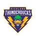 Richland Thunderducks Women's Basketball (@RichlandWBB) Twitter profile photo