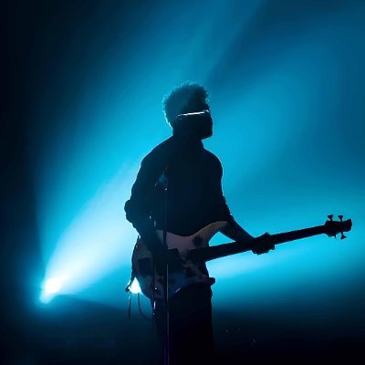 Glasswing Butterfly Profile