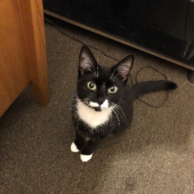 LamoraMoore's profile picture. Senior23💞/ Zoe shit🫶🏾❗️