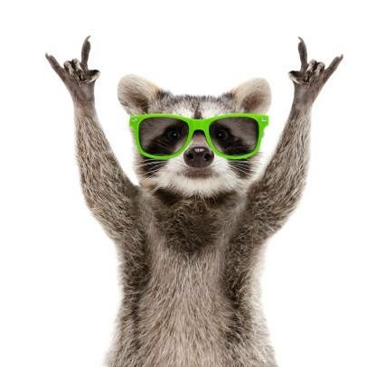 vynoi0902's profile picture. Hi every one. Wellcome to my channel.
love animals and nature ❤️🍓❤️🍓😔