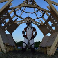Dakar Desert Dog (@dakardog) 's Twitter Profile