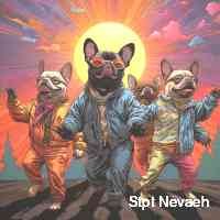 nevaaehstpt's profile picture. 🦊 vfox alliance is a unique nft project that is building its own ecosystem on vechain 🦎 own world, rich lore, 2 collections, different tribes, $vfa token